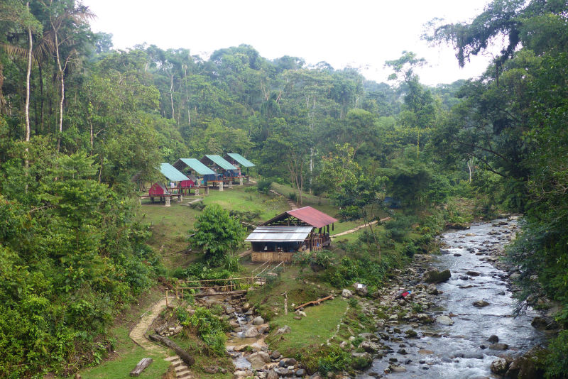 Achiyacu Tambu Jungle Camp