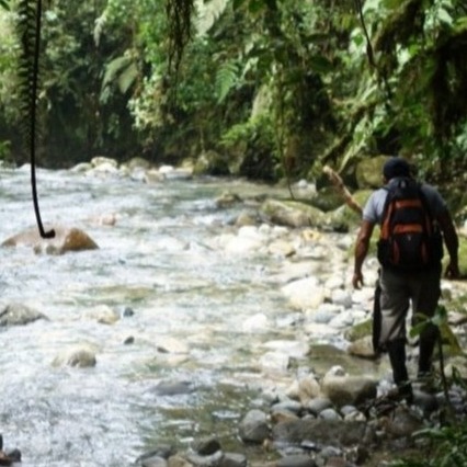 Day tour ancestral forest